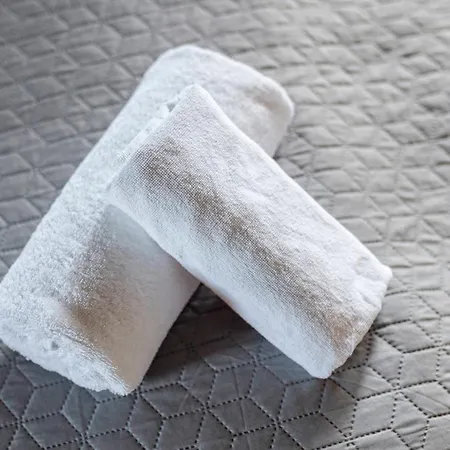 Burger Venise 3* Recica ob Savinji