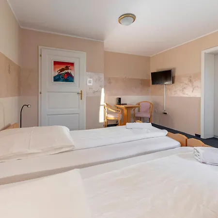 Burger Venise Hotel Recica ob Savinji