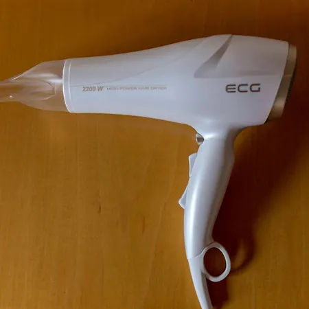 Burger Venise Hotel Recica ob Savinji