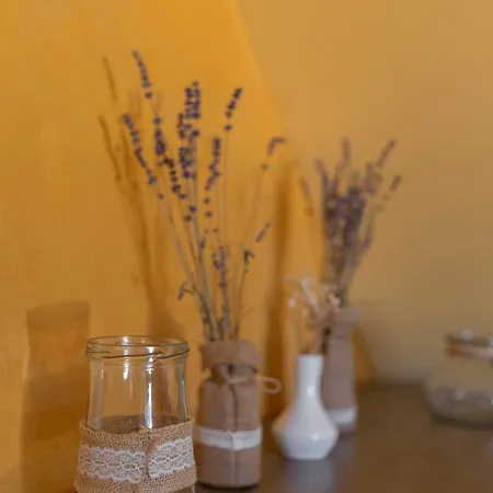 Hotel Burger Veniše