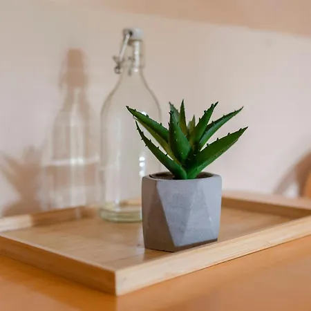 Burger Venise 3* Recica ob Savinji