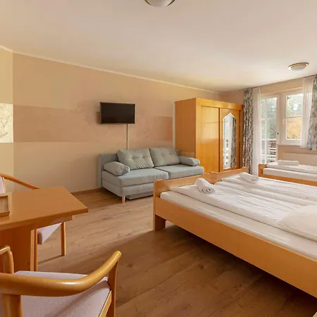 Burger Venise Recica ob Savinji