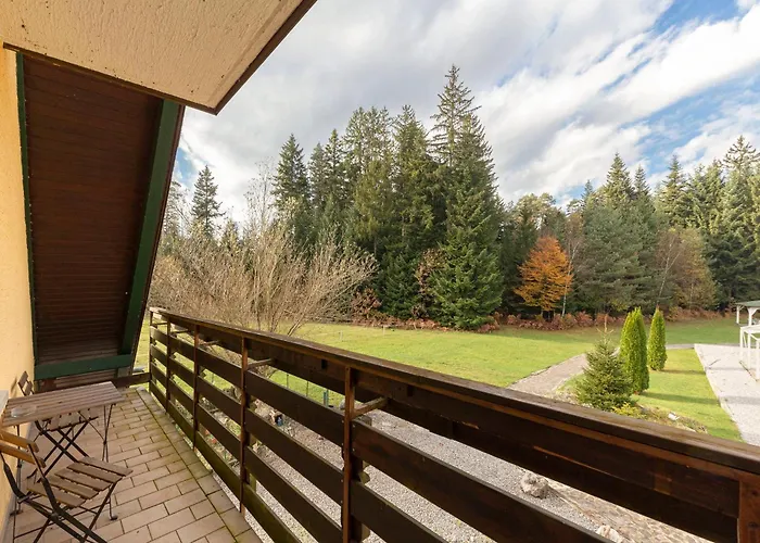 Burger Venise 3* Recica ob Savinji