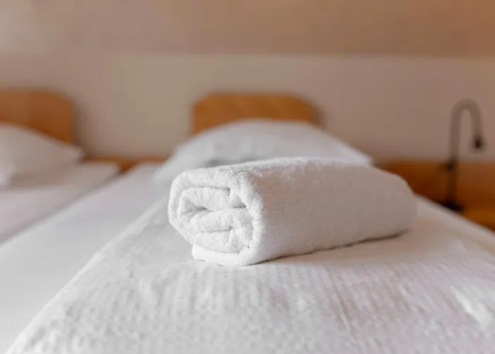 Hotel Burger Venise 3*