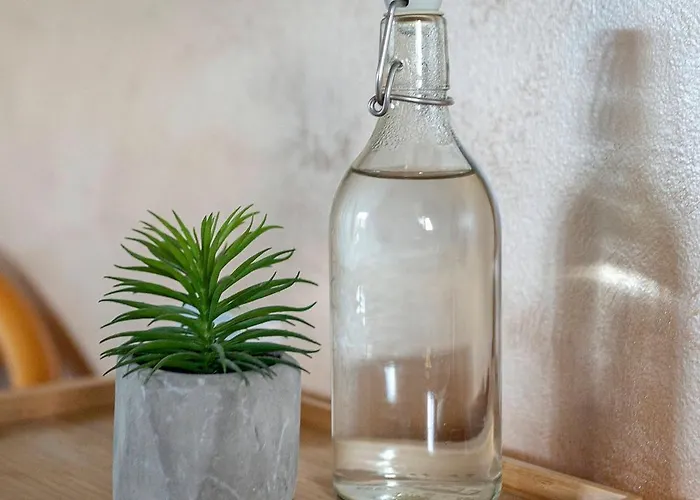 Hotel Burger Venise Recica ob Savinji