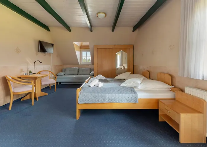 Burger Venise Hotel Recica ob Savinji