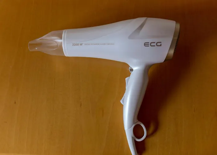 Burger Venise Hotel Recica ob Savinji