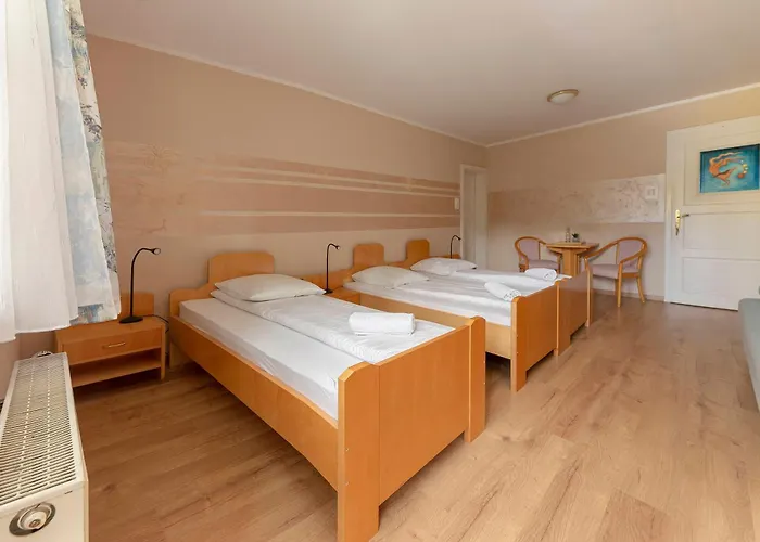 Burger Venise 3* Recica ob Savinji