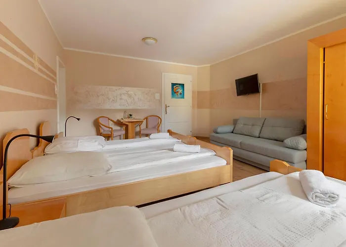 Burger Venise 3* Recica ob Savinji