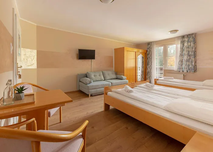 Burger Venise Recica ob Savinji