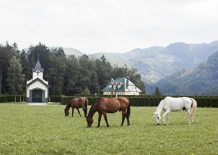 Hotel Burger Venise 3*